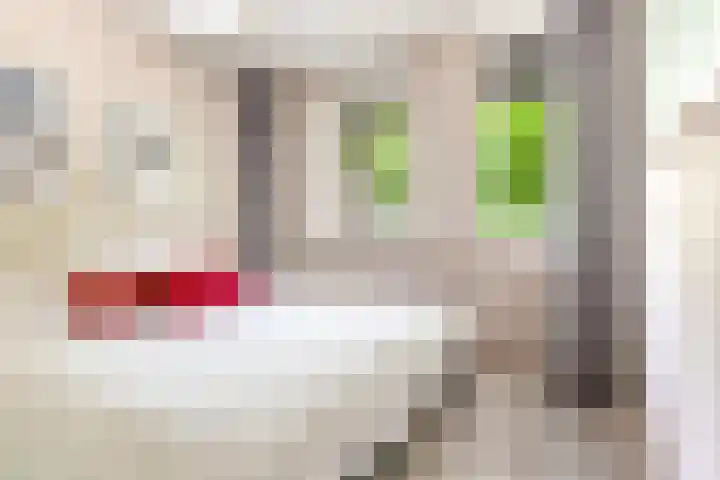 Olof Palmelaan 122 Utrecht thumbnail 27
