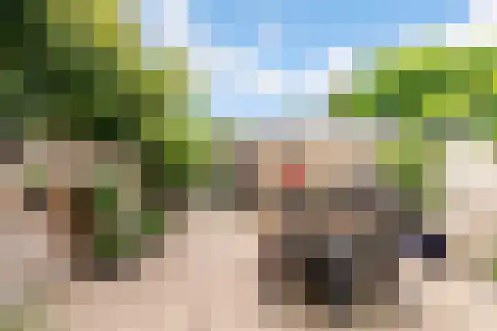 Olof Palmelaan 122 Utrecht thumbnail 36