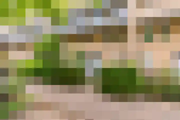Olof Palmelaan 122 Utrecht thumbnail 42