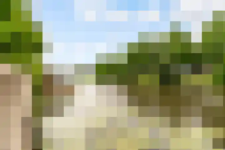 Olof Palmelaan 122 Utrecht thumbnail 45