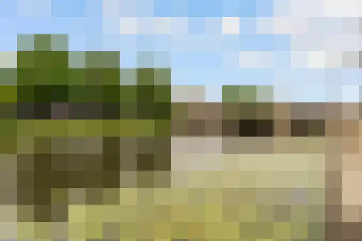 Olof Palmelaan 122 Utrecht thumbnail 46