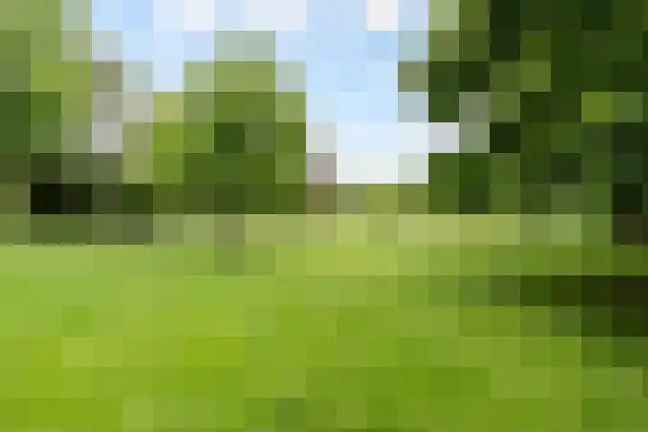 Olof Palmelaan 122 Utrecht thumbnail 47