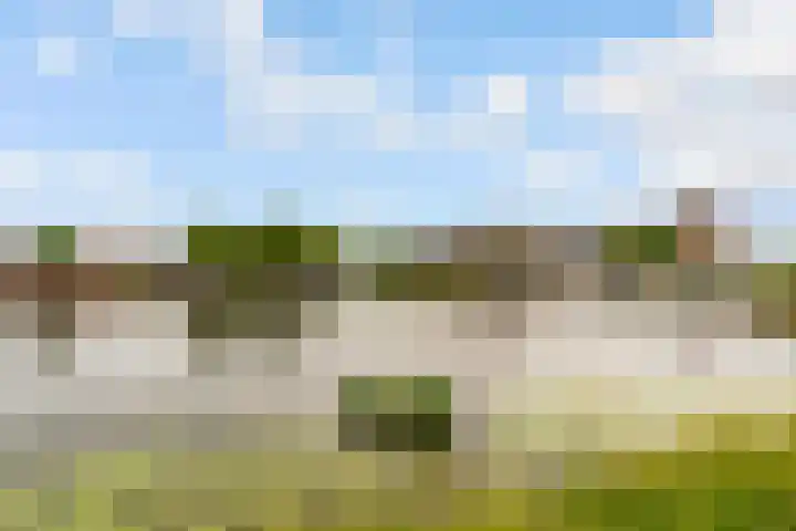 Olof Palmelaan 122 Utrecht thumbnail 48