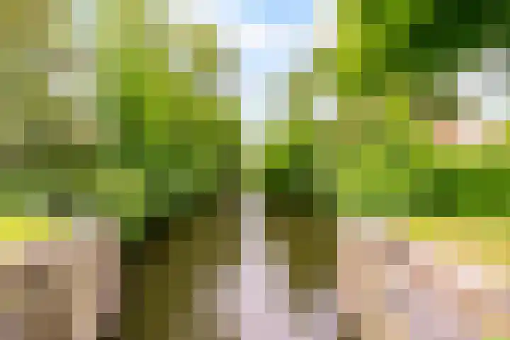 Olof Palmelaan 122 Utrecht thumbnail 50