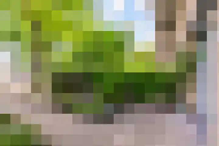 Olof Palmelaan 122 Utrecht thumbnail 6