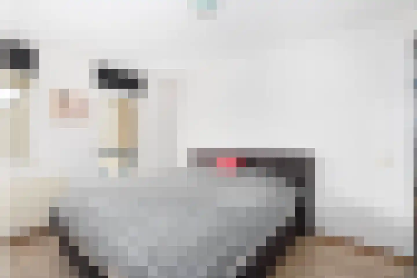 Olof Palmelaan 126 Utrecht thumbnail 22