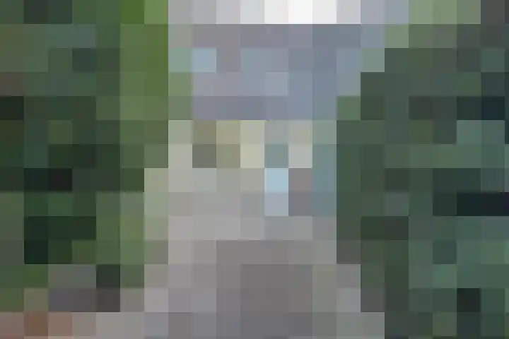 Olof Palmelaan 2 Utrecht thumbnail 18