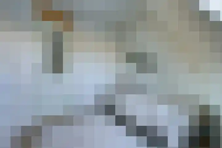 Olof Palmelaan 2 Utrecht thumbnail 23