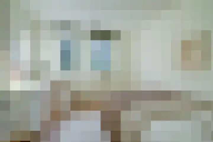 Olof Palmelaan 2 Utrecht thumbnail 26