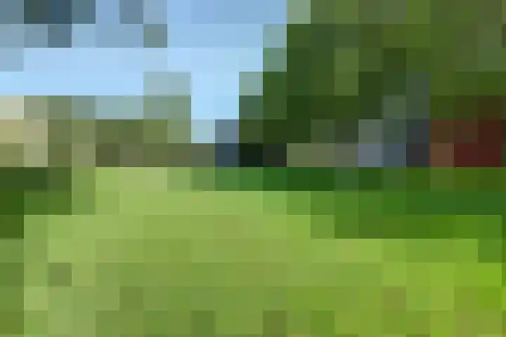 Olof Palmelaan 2 Utrecht thumbnail 41