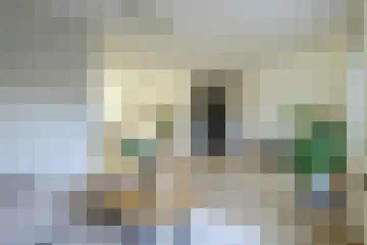 Olof Palmelaan 2 Utrecht thumbnail 7