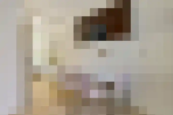 Olof Palmeplein 122 Amsterdam thumbnail 12