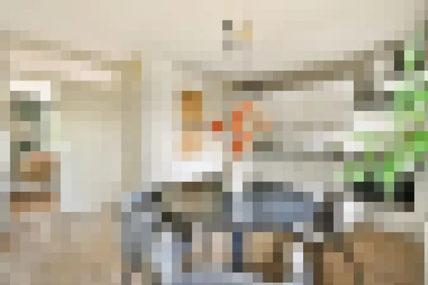 Olof Palmeplein 67 Amsterdam thumbnail 7