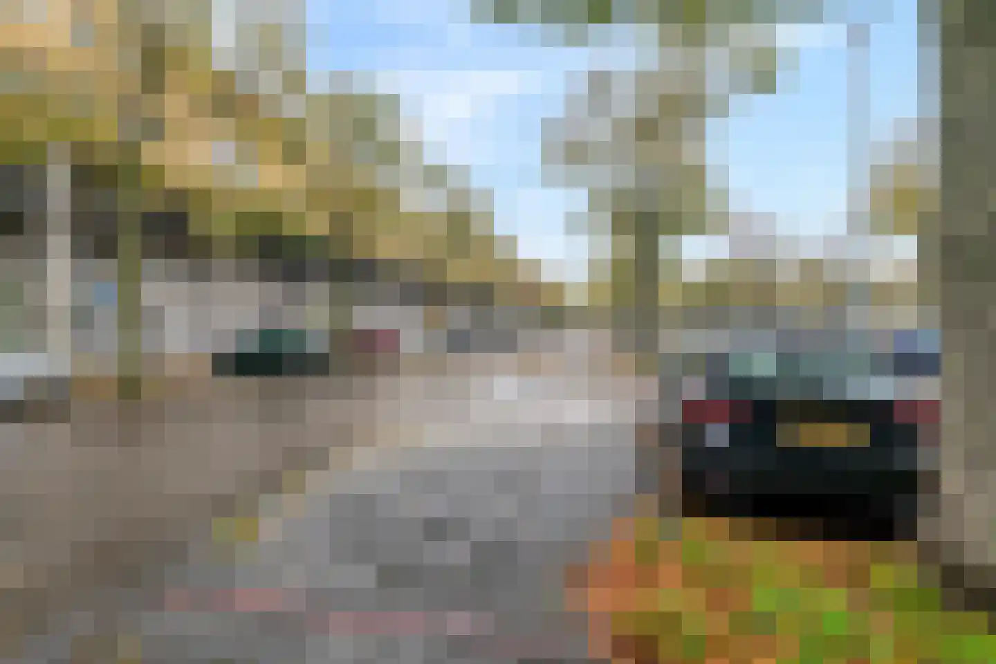 Olof Palmeplein 68 Amsterdam thumbnail 25