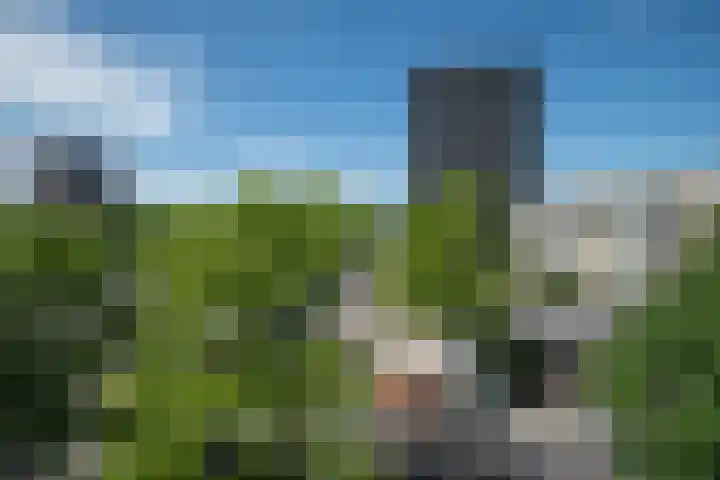 Olof Palmeplein 70 Amsterdam thumbnail 19