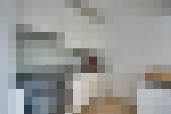 Olof Palmeplein 96 Amsterdam thumbnail 22