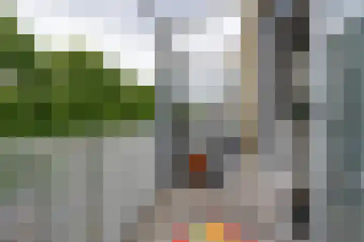 Olof Palmeplein 96 Amsterdam thumbnail 29