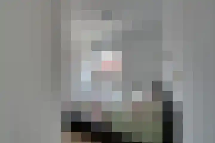 Olof Palmeplein 96 Amsterdam thumbnail 31