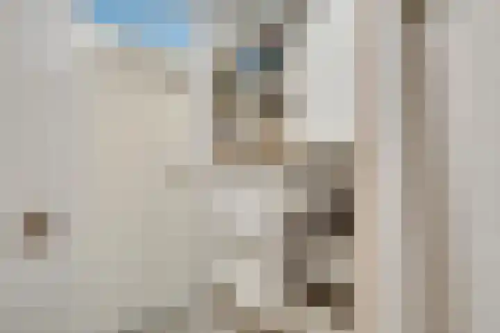 Olof Palmeplein 96 Amsterdam thumbnail 38