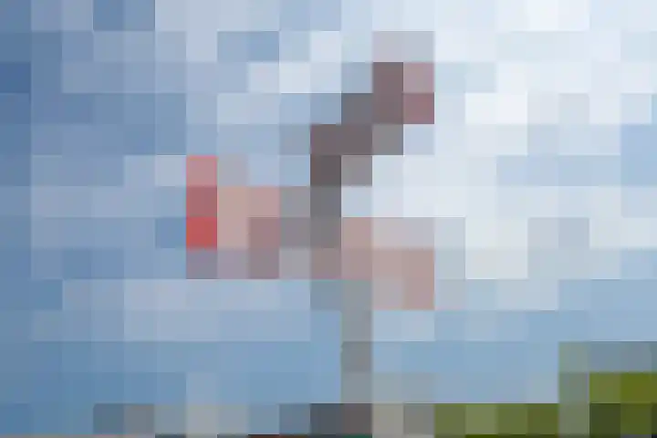 Olof Palmeplein 96 Amsterdam thumbnail 47