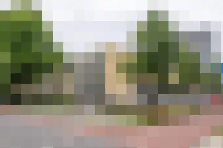 Olof Palmeplein 96 Amsterdam thumbnail 6