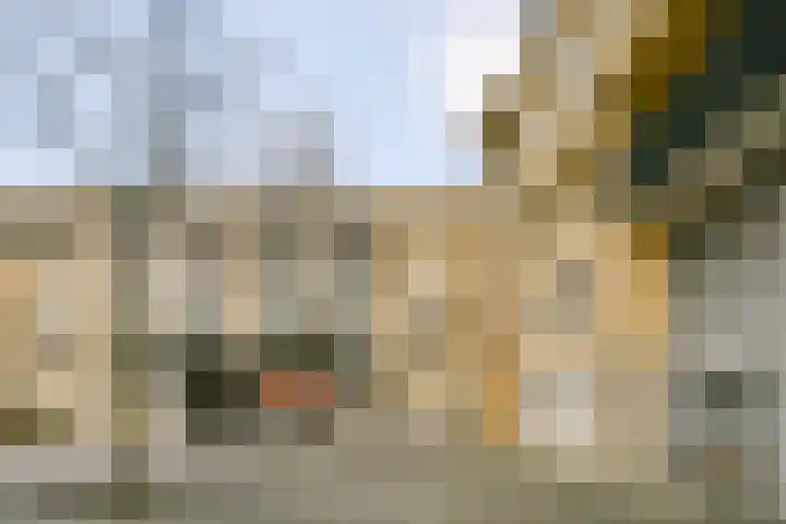 Olof Palmeplein 99 Amsterdam thumbnail 17