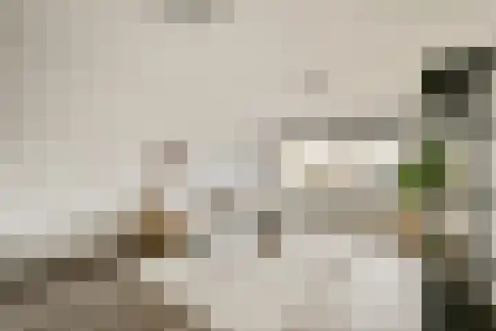 Olof Palmeplein 99 Amsterdam thumbnail 7