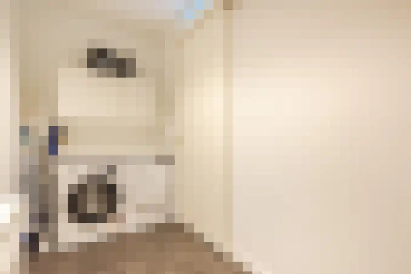 Olsterhof 6 Olst thumbnail 19