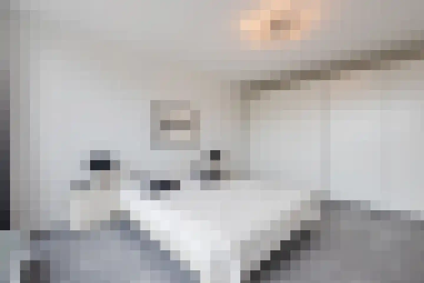 Olsterhof 6 Olst thumbnail 21