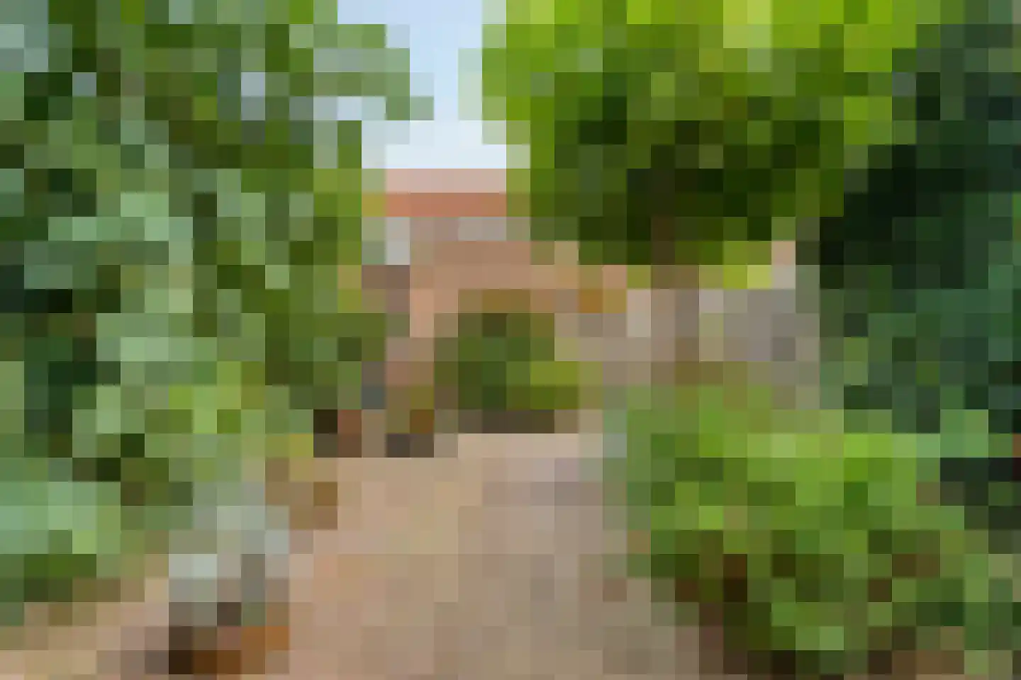 Olsterveste 16 Nieuwegein thumbnail 15