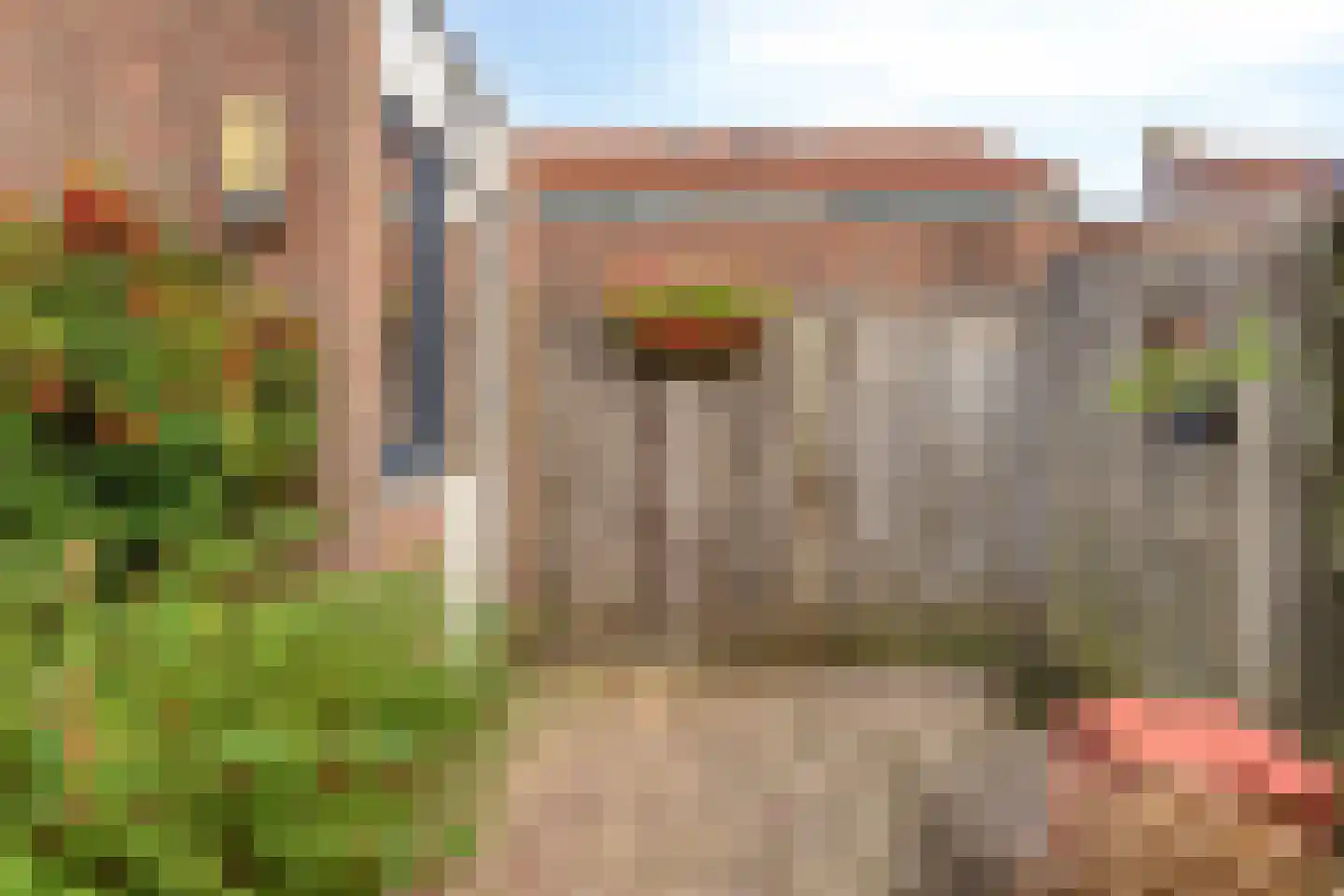 Olsterveste 16 Nieuwegein thumbnail 16
