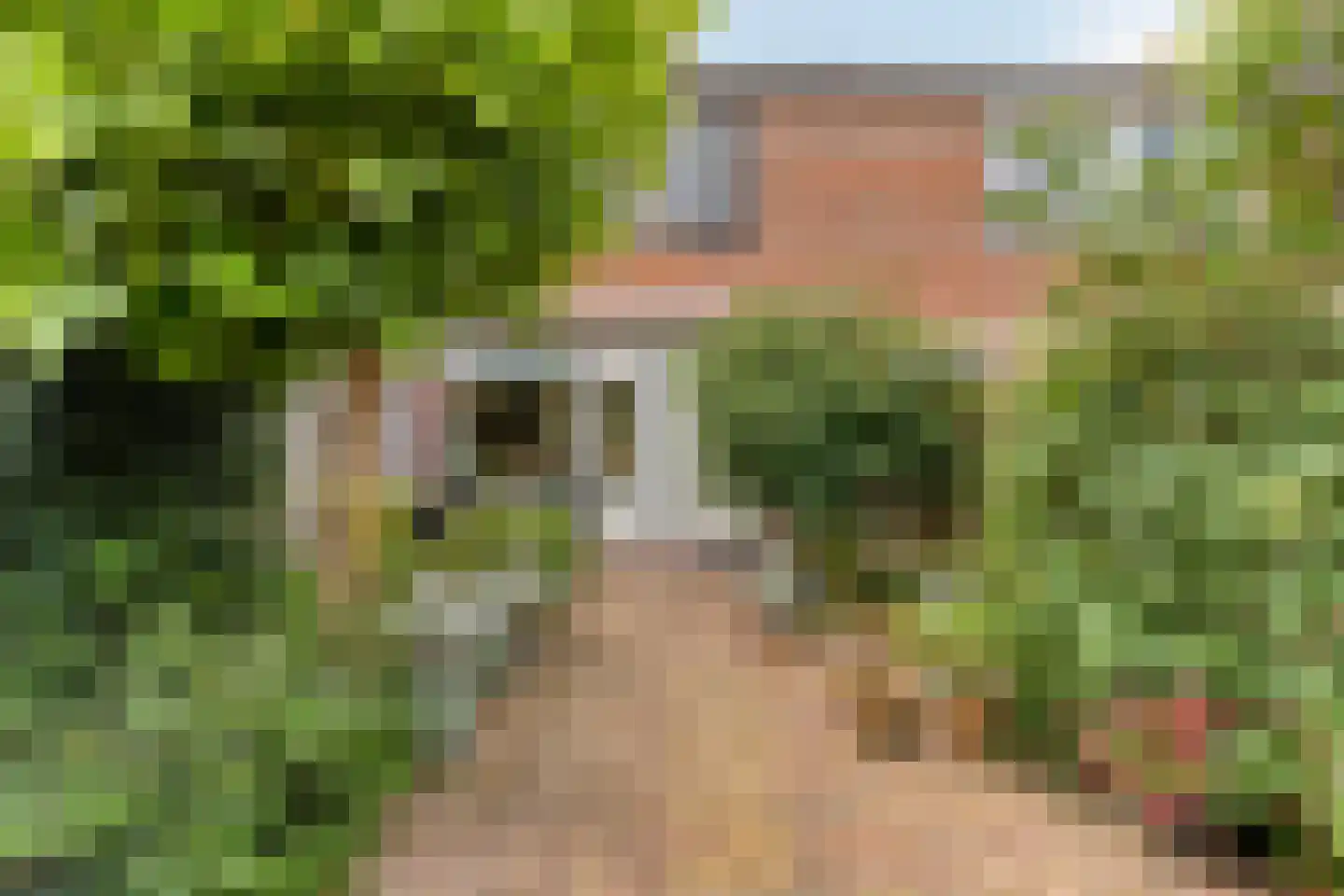 Olsterveste 16 Nieuwegein thumbnail 17