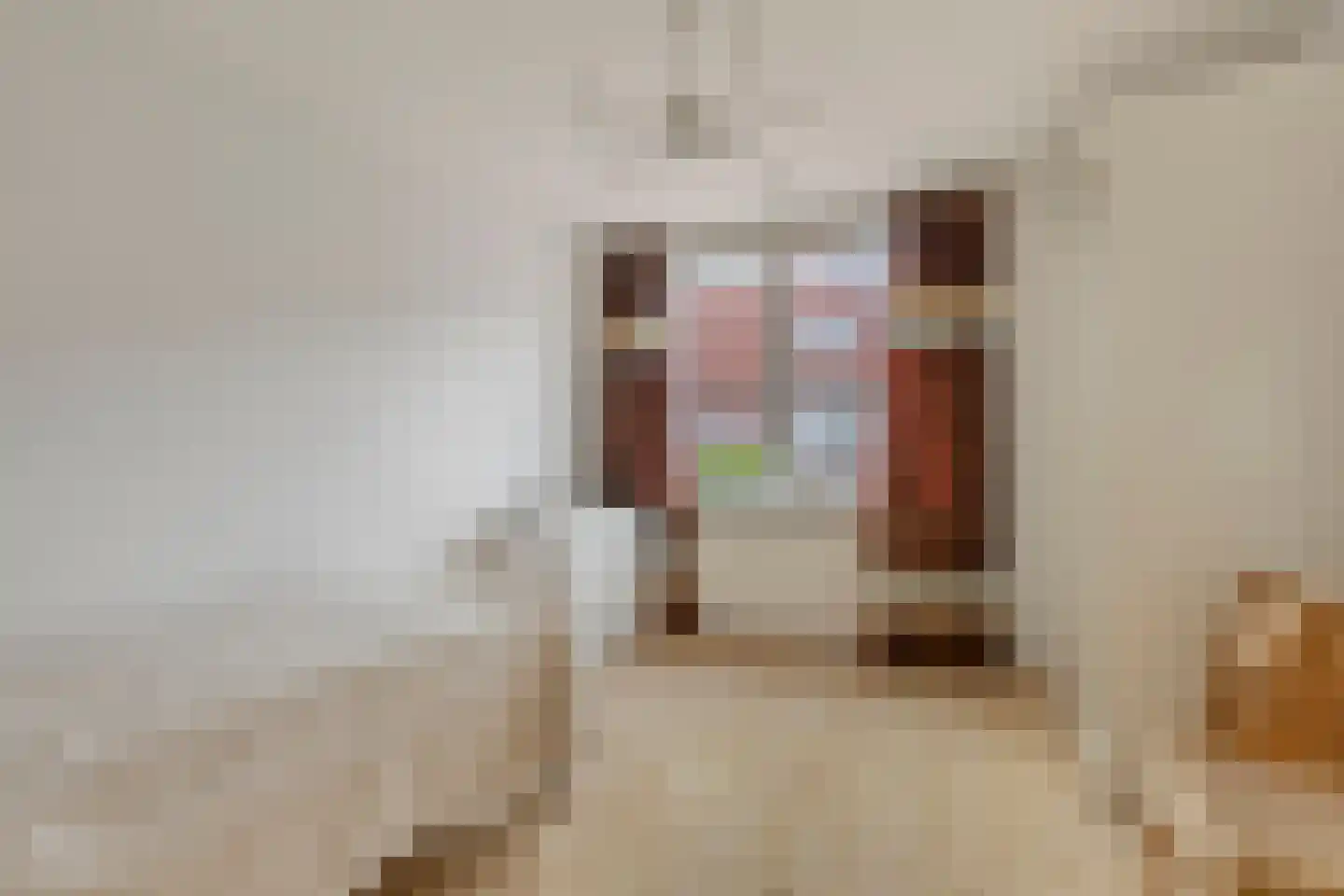 Olsterveste 16 Nieuwegein thumbnail 18