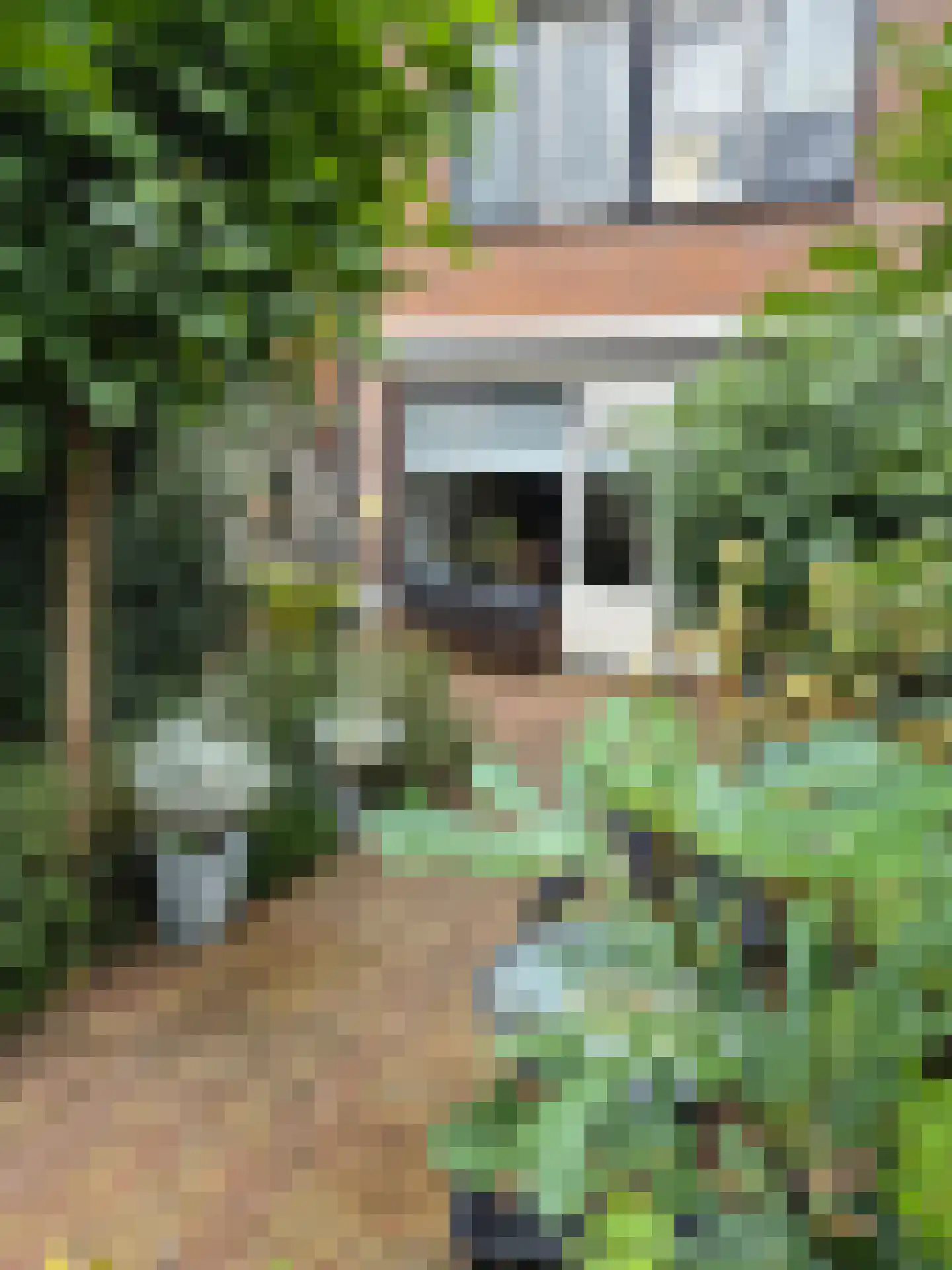 Olsterveste 16 Nieuwegein thumbnail 31