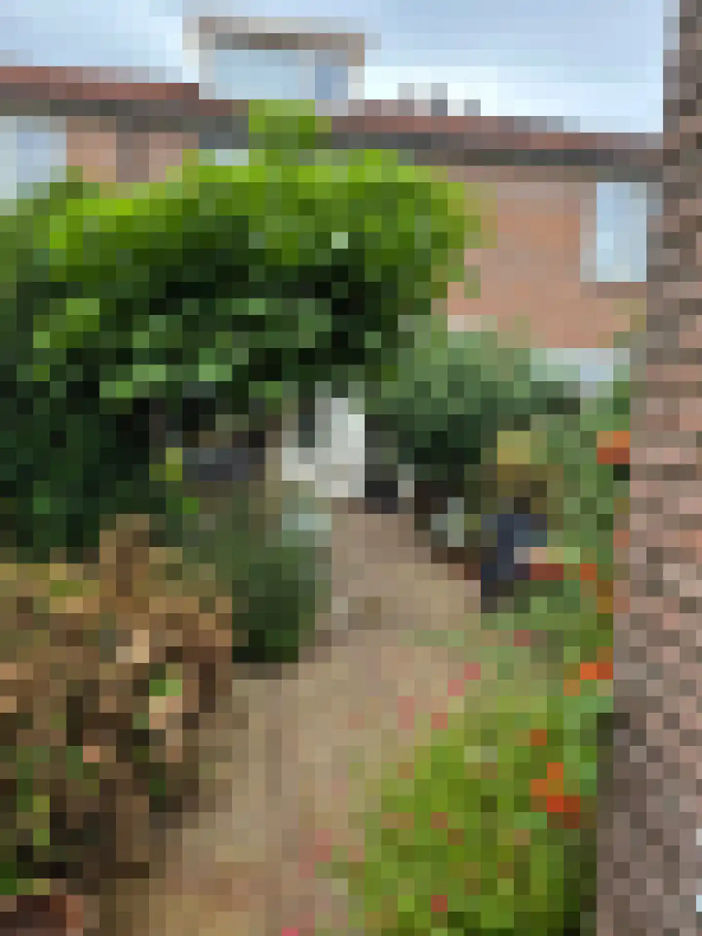 Olsterveste 16 Nieuwegein thumbnail 32