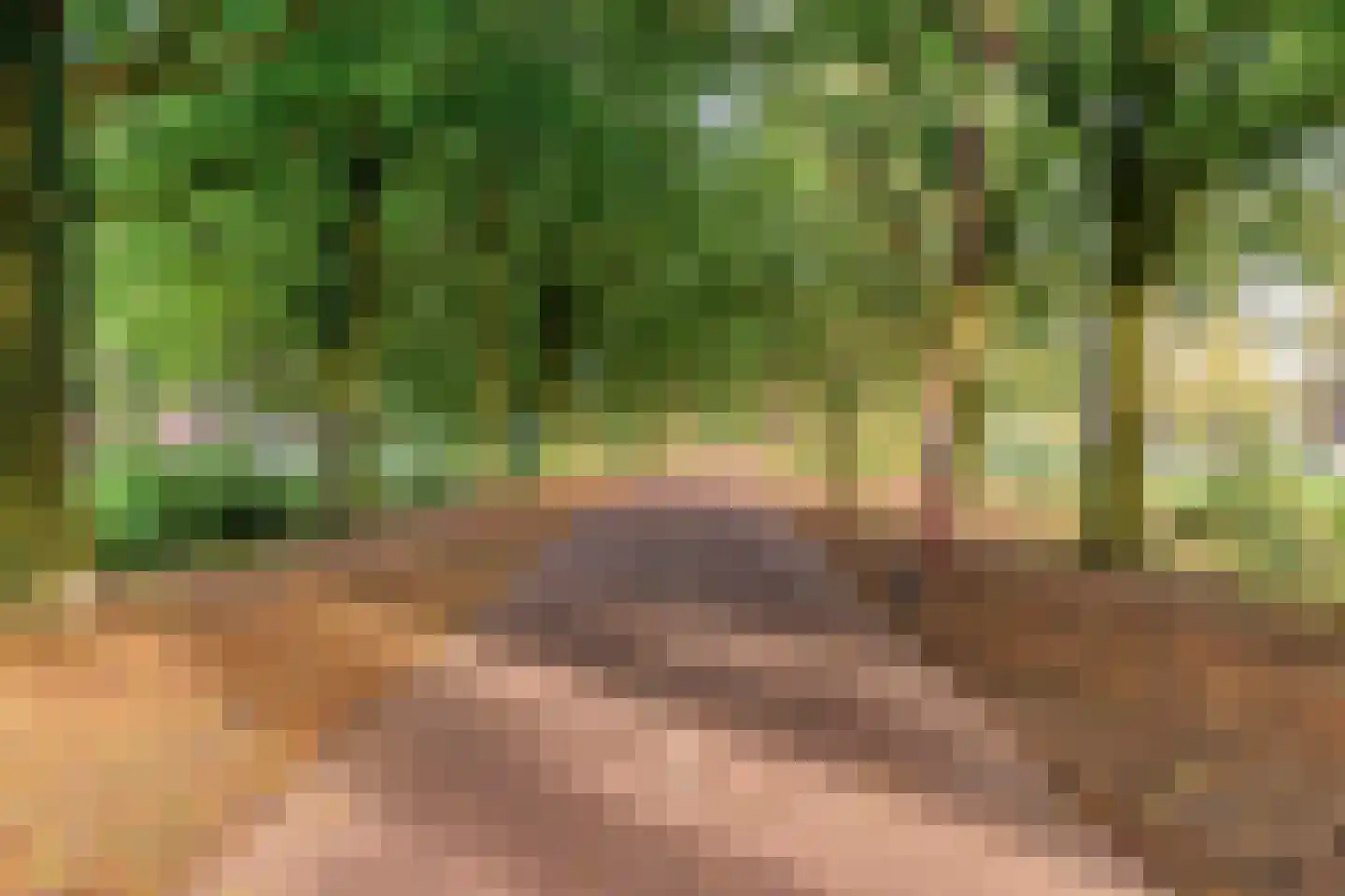 Olsterveste 16 Nieuwegein thumbnail 37