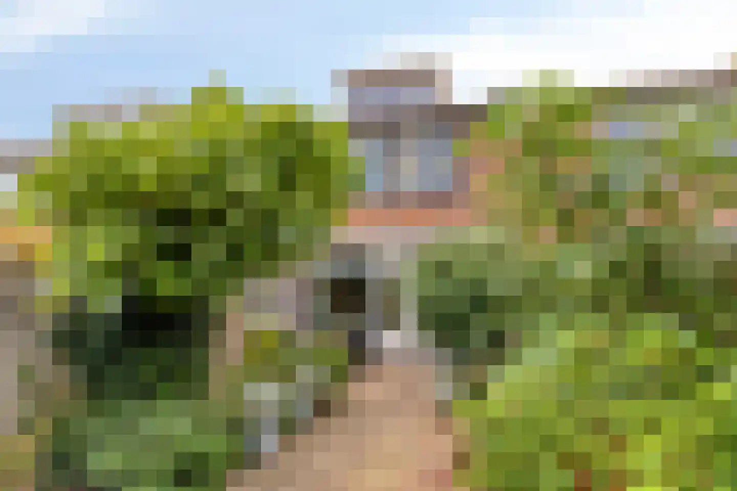 Olsterveste 16 Nieuwegein thumbnail 4
