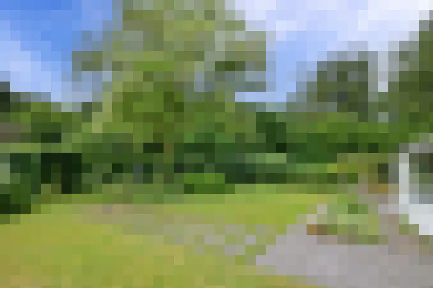Olsterweg 16 A Diepenveen thumbnail 42