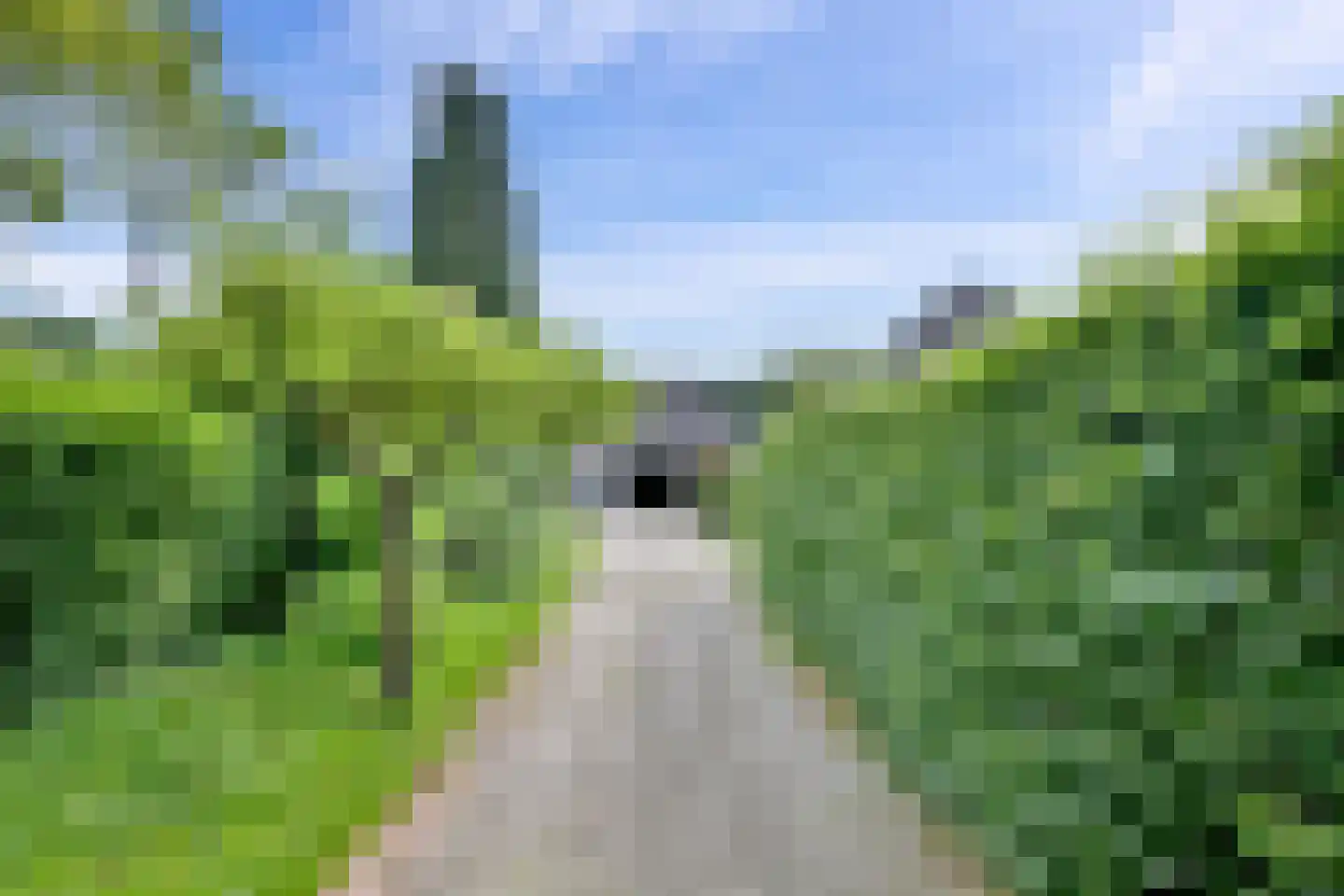 Olsterweg 16 A Diepenveen thumbnail 43