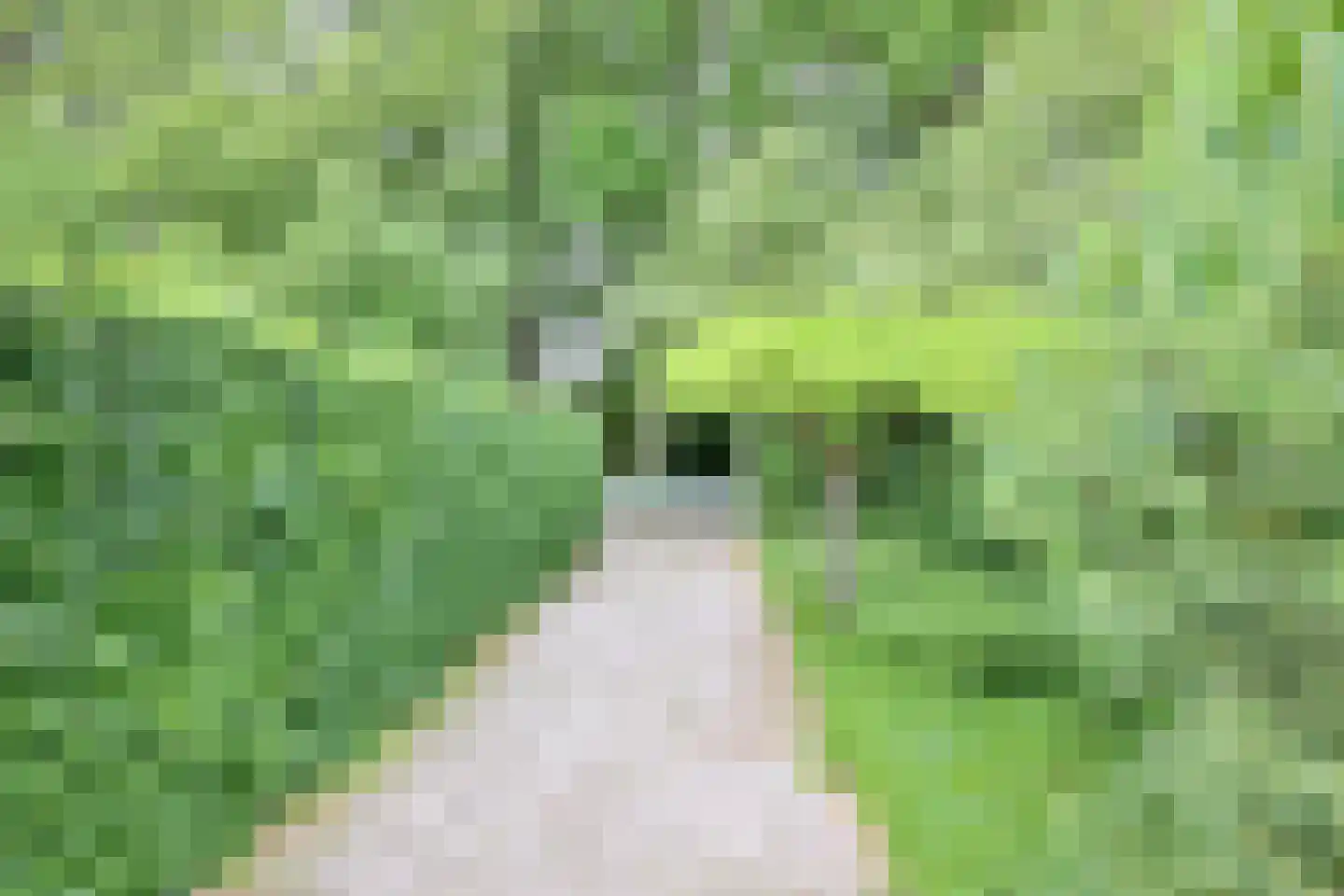 Olsterweg 16 A Diepenveen thumbnail 44