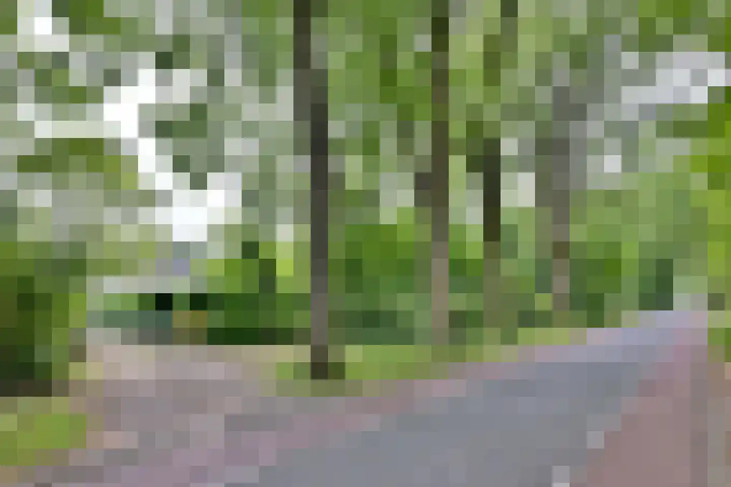 Olsterweg 16 A Diepenveen thumbnail 45