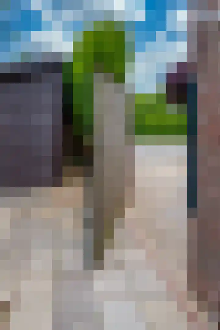 Olterdissenstraat 14 Beek thumbnail 32