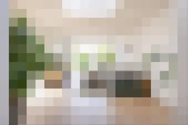 Olterdissenstraat 3 Geleen thumbnail 11