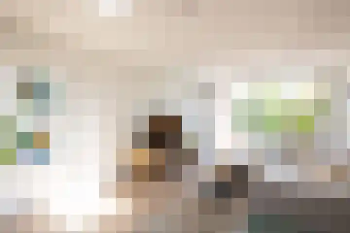 Olterdissenstraat 3 Geleen thumbnail 12
