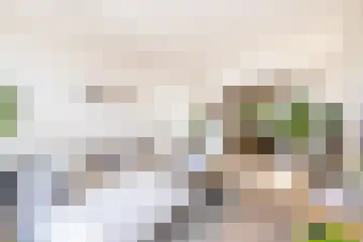 Olterdissenstraat 3 Geleen thumbnail 14