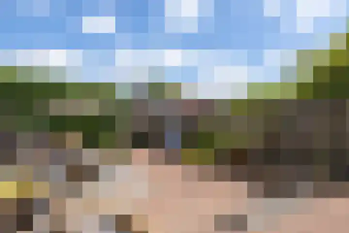 Olterdissenstraat 3 Geleen thumbnail 25