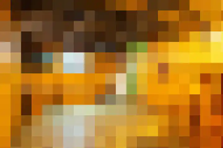 Olterdissenstraat 3 Geleen thumbnail 37