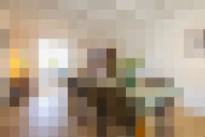Olterdissenstraat 3 Geleen thumbnail 8