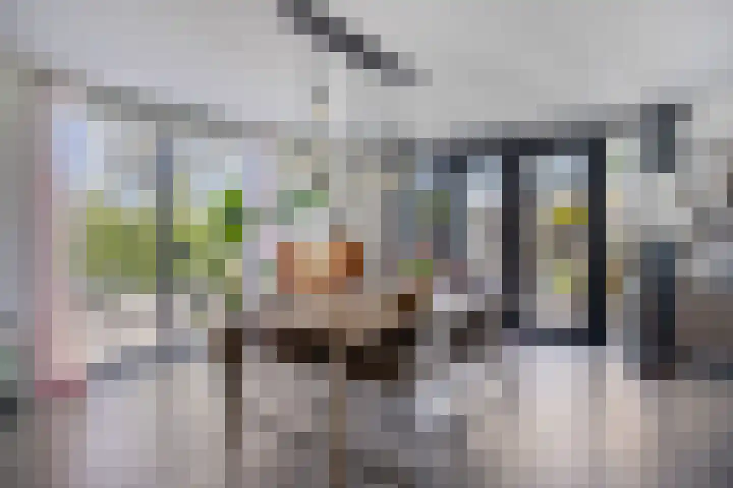 Olthofsweg 3 Hellendoorn thumbnail 15