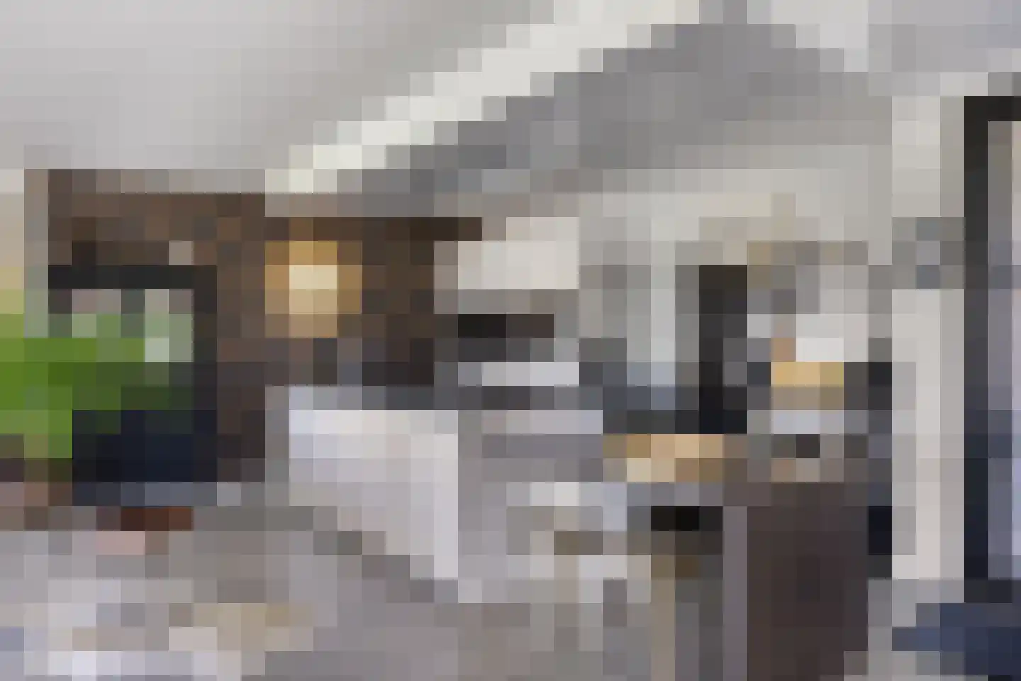 Olthofsweg 3 Hellendoorn thumbnail 16